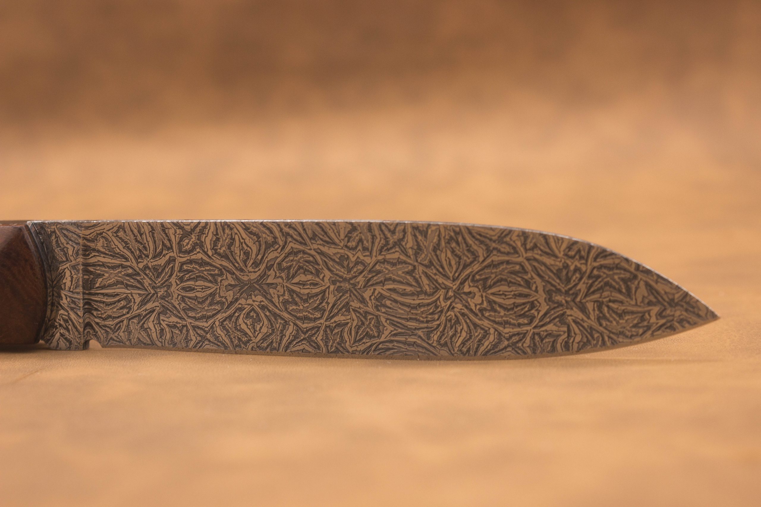 Vue générale : Couteau droit artisanal en damas mosaïque avec manche en bois de fer d'Arizona. Lame : Lame en damas carbone mosaïque forgée artisanalement. Manche : Manche en bois de fer d'Arizona sur couteau artisanal français. Dos : Dos poli d'un couteau à cran forcé fabriqué à la main. Étui : Étui en véritable cuir noir livré avec le couteau artisanal joel alexanian couteau d'art collection damas maison var